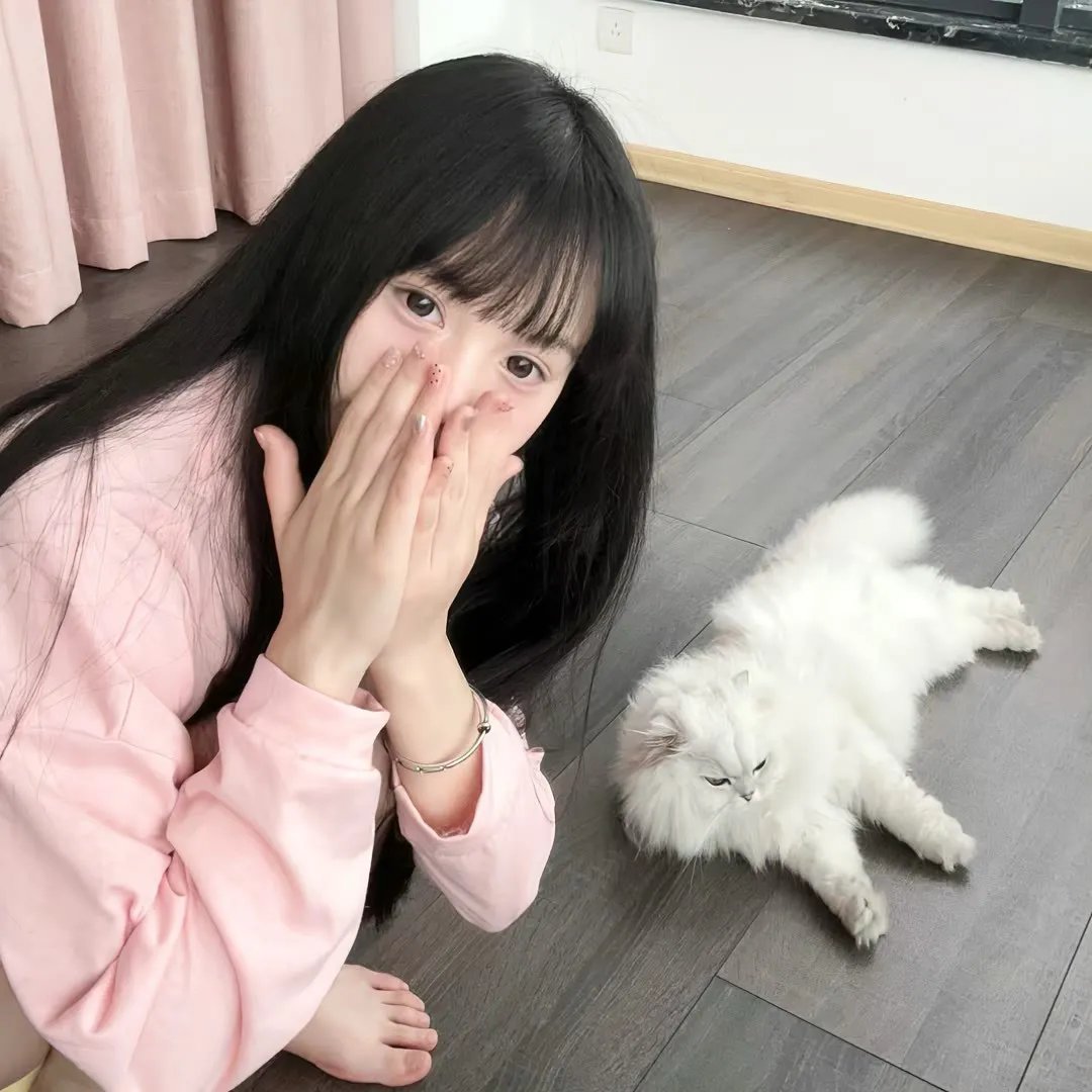楚留香新传之影子传奇